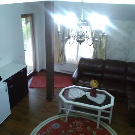 Pensiunea Casa Elena Agnita Экстерьер фото