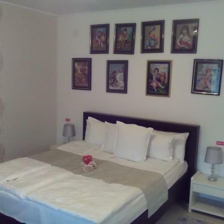 Pensiunea Casa Elena Agnita Экстерьер фото