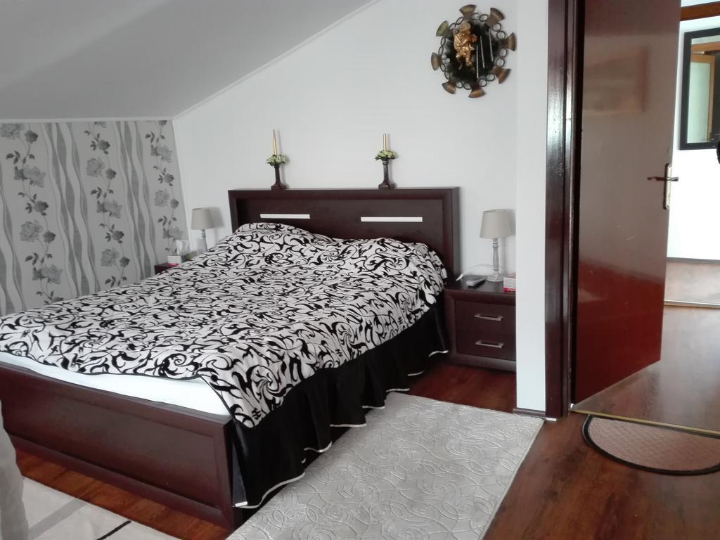 Pensiunea Casa Elena Agnita Экстерьер фото